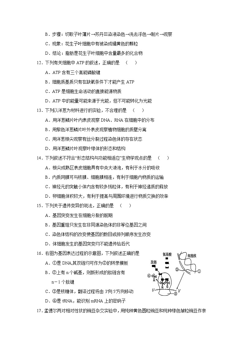【生物】福建省龙海市程溪中学2018-2019学年高二下学期期末考试03