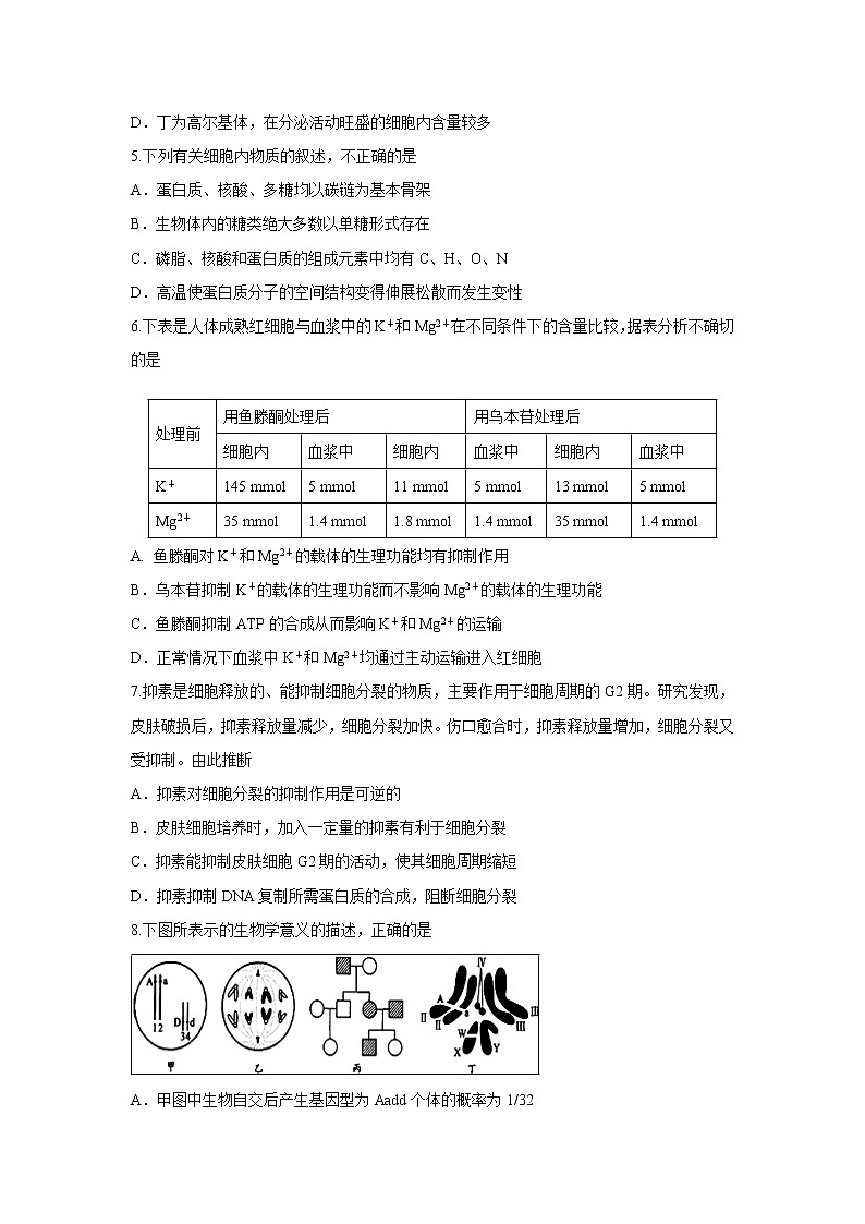 【生物】甘肃省兰州市第一中学2018-2019学年高二下学期期末考试试题02