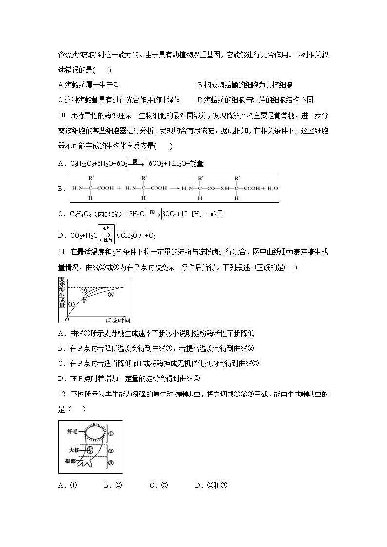 【生物】甘肃省天水市一中2018-2019学年高二下学期期末考试试题03