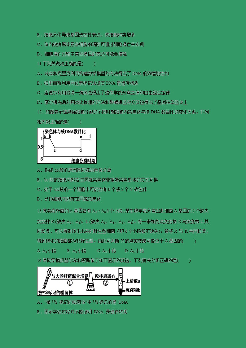 【生物】广东省佛山一中、石门中学、顺德一中、国华纪中2018-2019学年高二下学期期末四校联考试题第3页