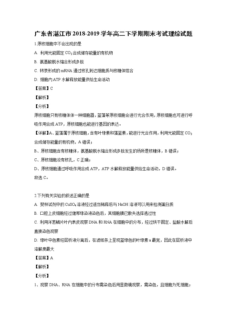 【生物】广东省湛江市2018-2019学年高二下学期期末考试理综试题（解析版）01