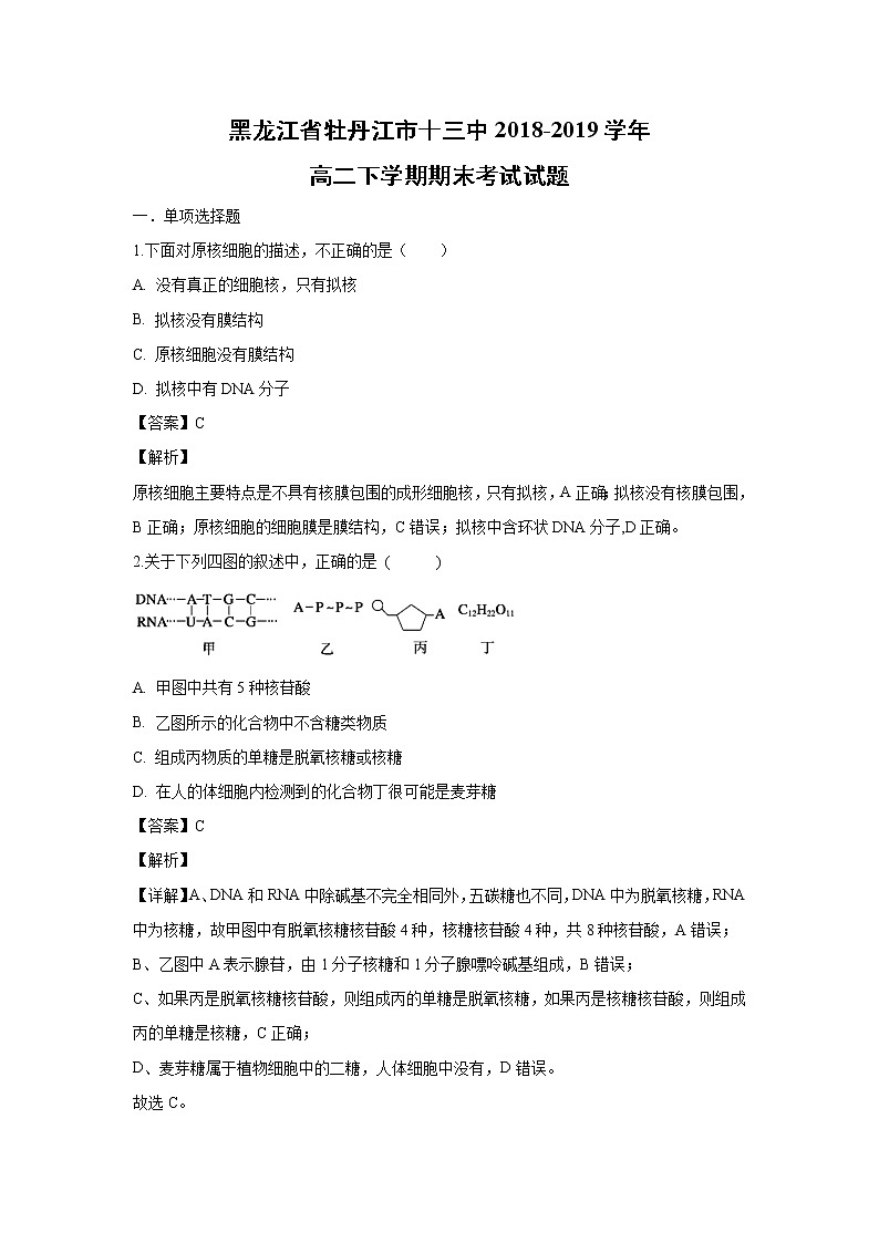 【生物】黑龙江省牡丹江市十三中2018-2019学年高二下学期期末考试试题（解析版）01