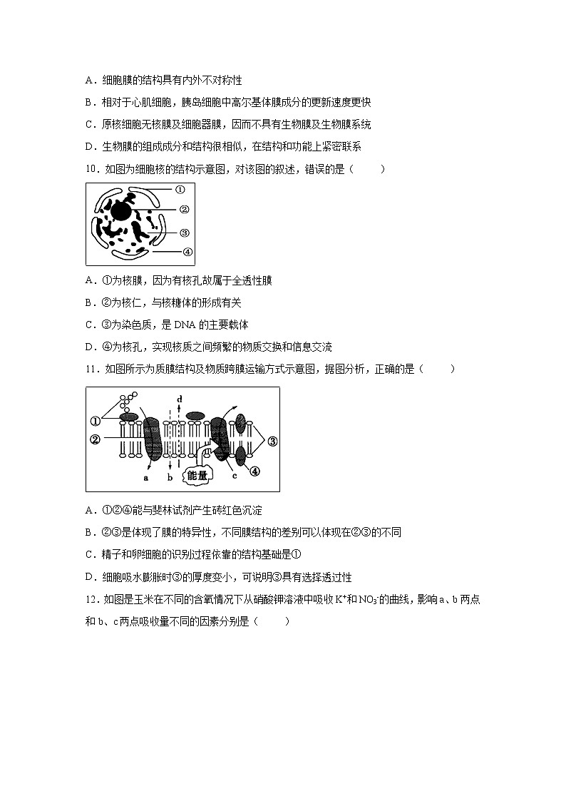 【生物】湖北省黄石实验高中2018-2019学年下学期高二期末考试模拟测试卷（解析版）第3页