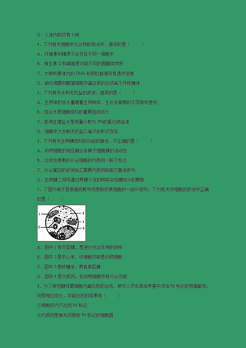 【生物】湖北省黄石二中2018-2019学年下学期高二期末考试模拟测试卷（解析版）第2页