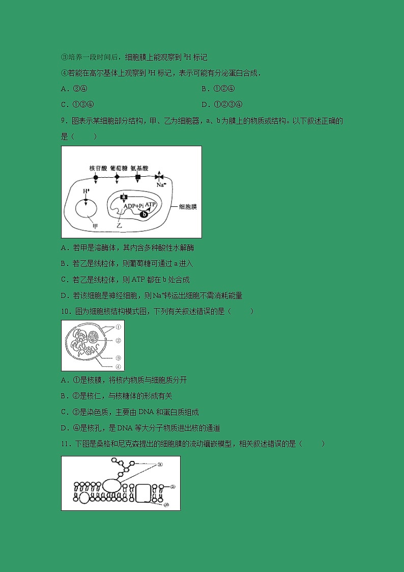 【生物】湖北省黄石二中2018-2019学年下学期高二期末考试模拟测试卷（解析版）第3页