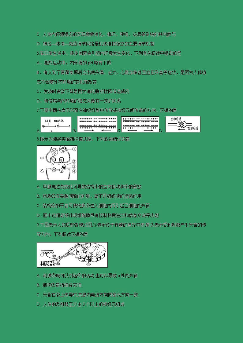【生物】湖北省麻城市实验高中2018-2019学年高二下学期期末考前测试（二）试题第2页
