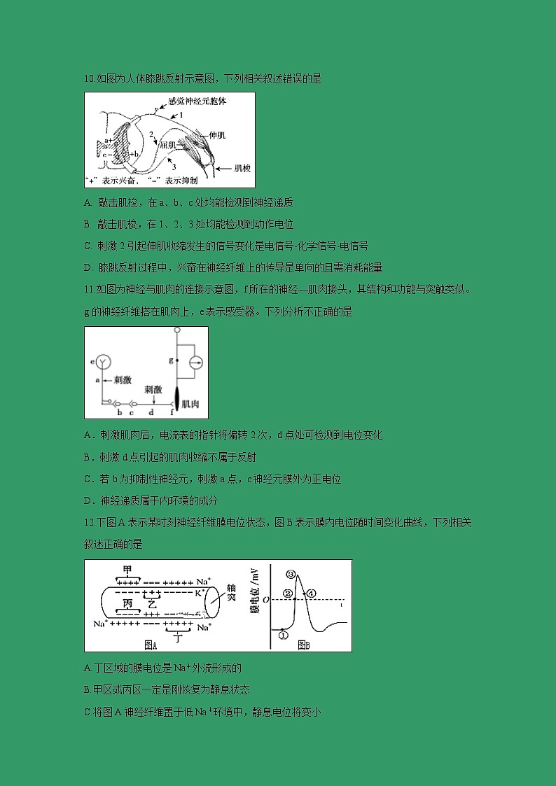【生物】湖北省麻城市实验高中2018-2019学年高二下学期期末考前测试（二）试题第3页