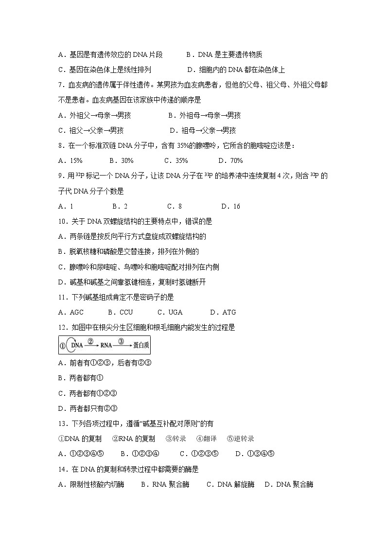 【生物】湖南省常德市2018-2019学年高二下学期期末考试试卷第2页