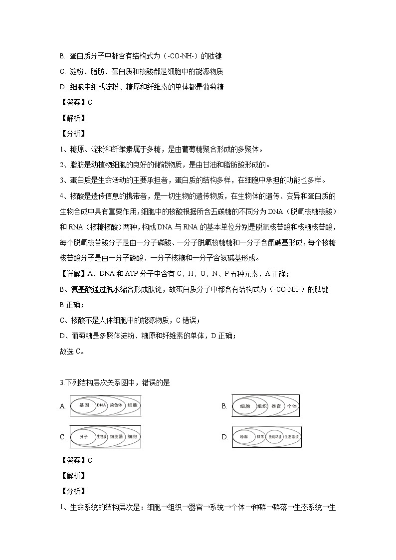 【生物】湖北省天门市、仙桃市、潜江市2018-2019学年高二下学期期末考试试题（解析版）第2页