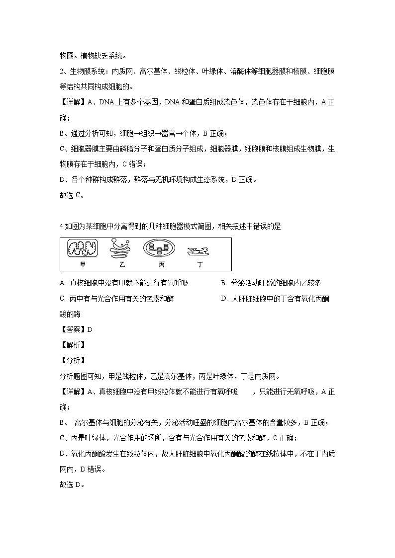 【生物】湖北省天门市、仙桃市、潜江市2018-2019学年高二下学期期末考试试题（解析版）第3页