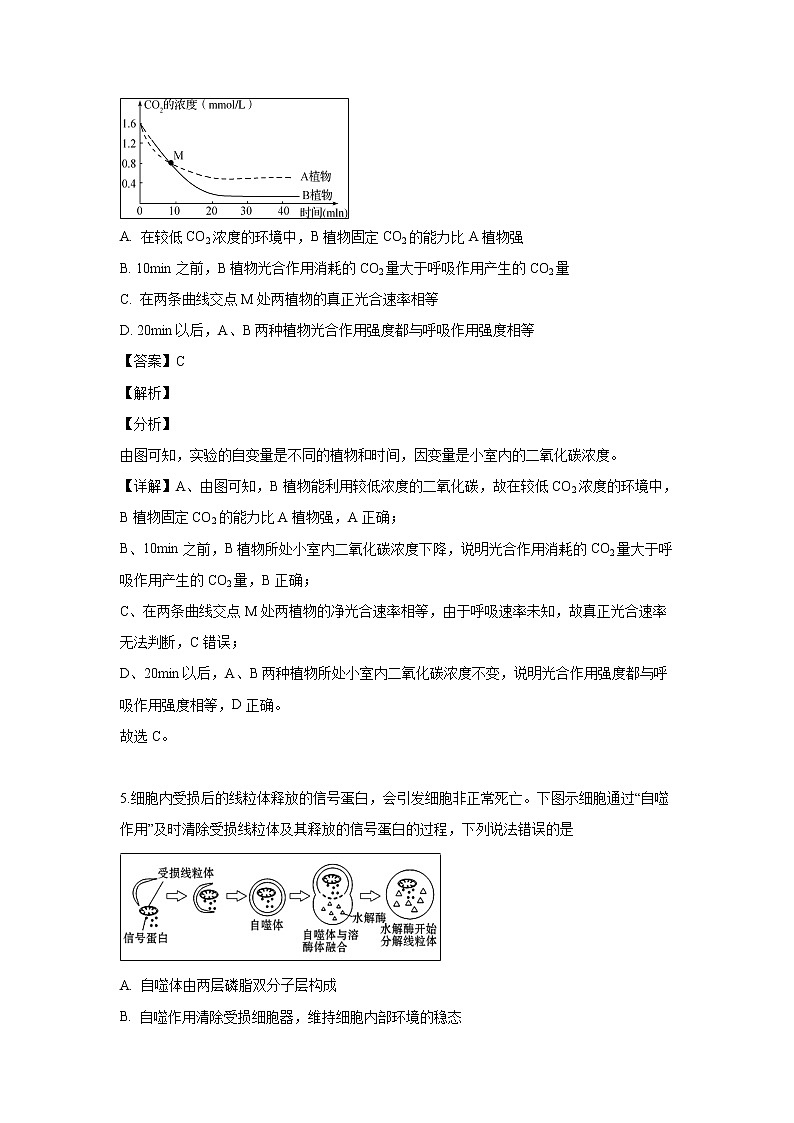 【生物】湖北省襄阳市2018-2019学年高二下学期期末考试试题（解析版）第3页
