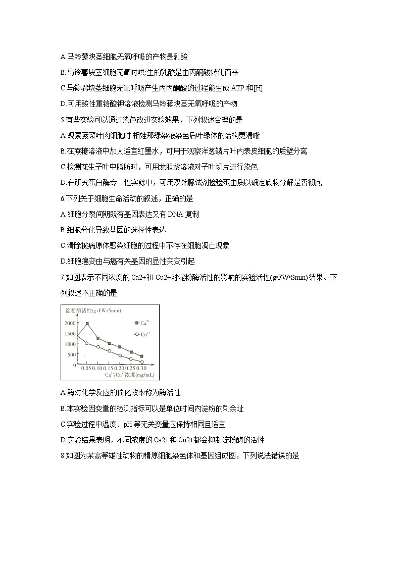【生物】湖南省五市十校2018-2019学年高二下学期期末联考 试卷02