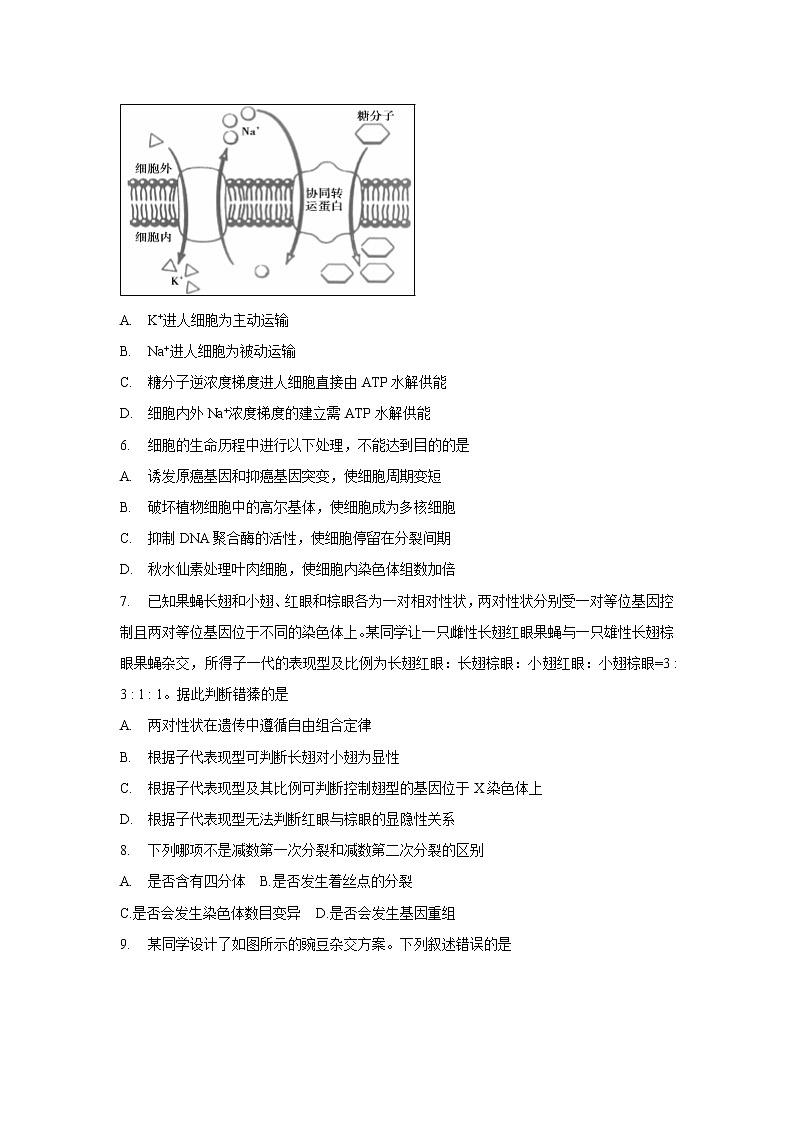 【生物】湖南省三湘名校教育联盟2018-2019学年高二下学期期末考试试题02