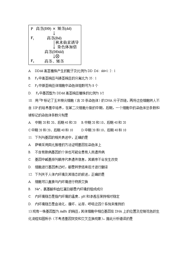 【生物】湖南省三湘名校教育联盟2018-2019学年高二下学期期末考试试题03