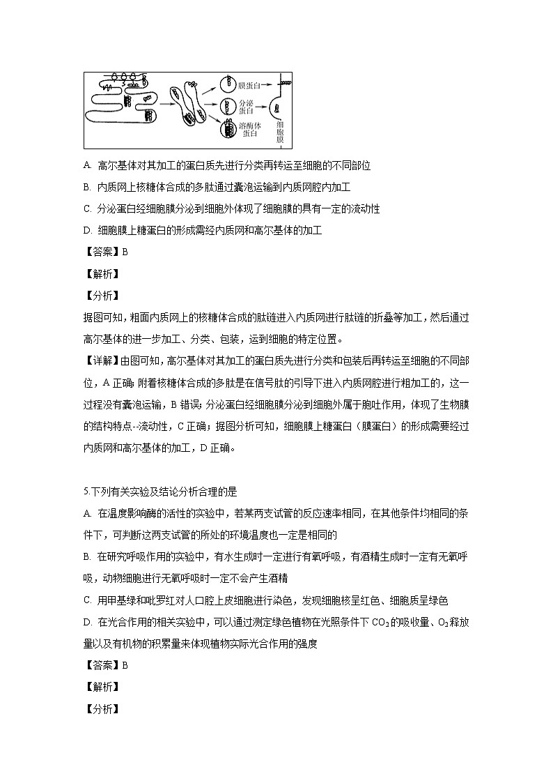 【生物】湖南省湘东六校（浏阳一中、株洲二中等）2018-2019学年高二下学期期末联考试题（解析版）03