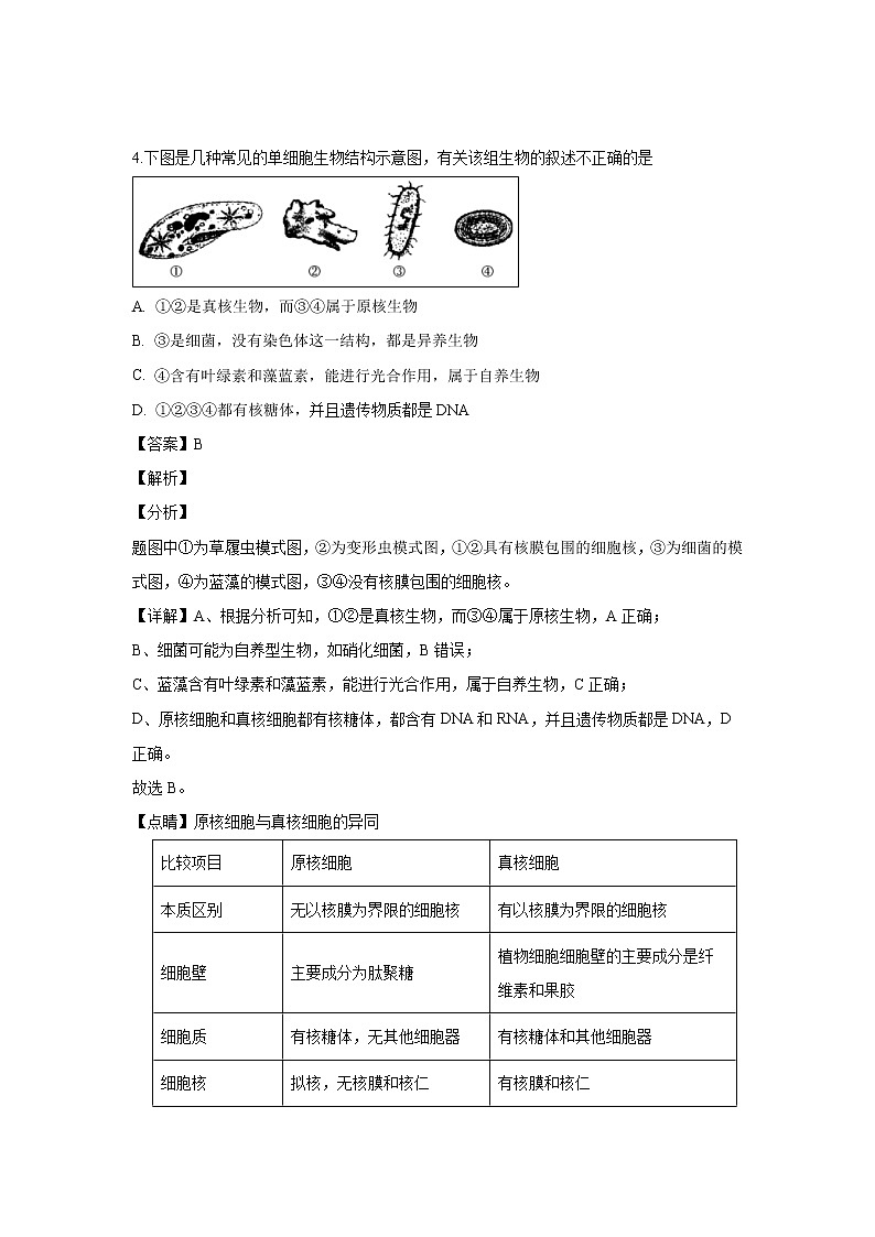 【生物】湖南省长沙市天心区长郡中学2018-2019学年高二下学期期末考试试题（解析版）03