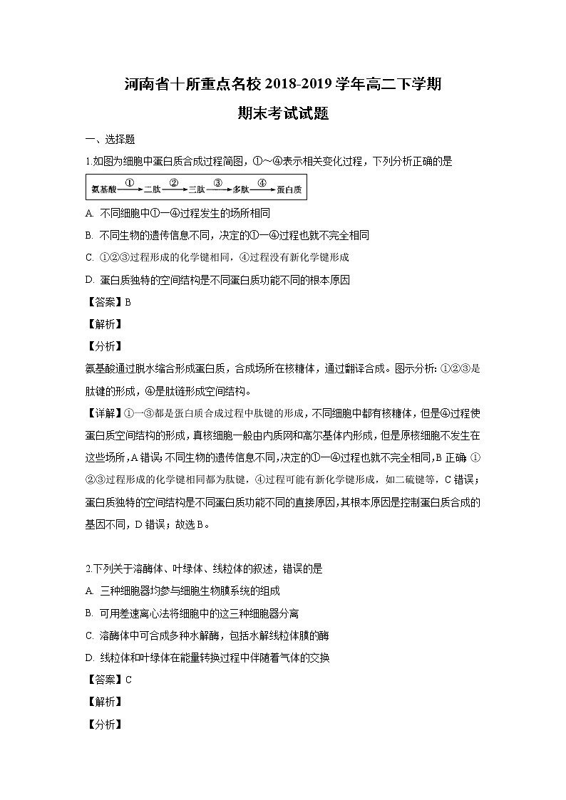 【生物】河南省十所重点名校2018-2019学年高二下学期期末考试试题（解析版）01