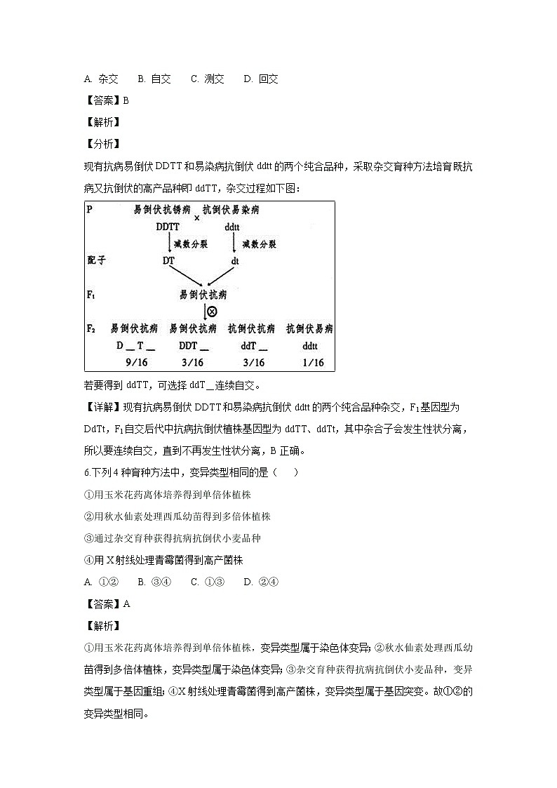 【生物】内蒙古锦山蒙古族中学2018-2019学年高二上学期期末考试试卷（解析版）03