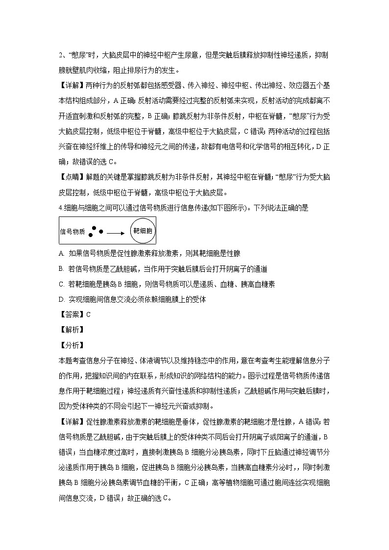 【生物】山西省祁县中学2018-2019学年高二上学期期末模拟（二）考试试题 （解析版）03