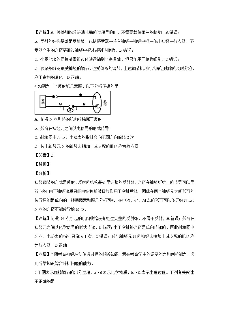 【生物】山西省祁县中学2018-2019学年高二上学期期末模拟考试试题 （解析版）03