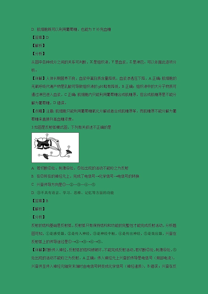 【生物】山西省运城市芮城县2018-2019学年高二上学期期末考试试题 （解析版）02