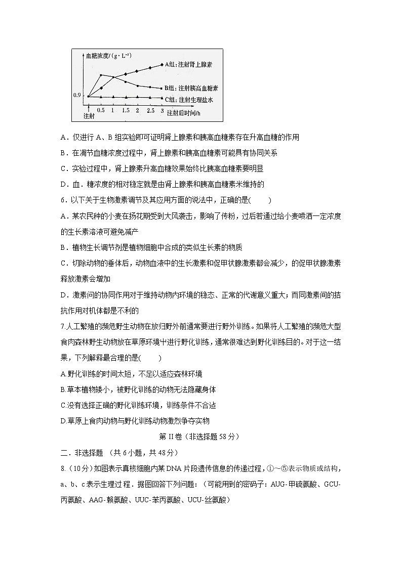 【生物】四川省棠湖中学2018-2019学年高二上学期期末考试试题02