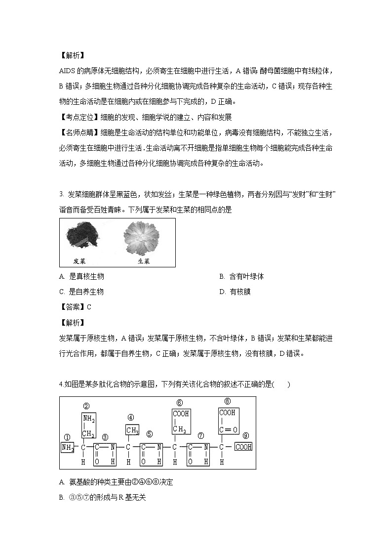 【生物】新疆实验中学2018-2019学年高二上学期期末考试试卷（解析版）第2页