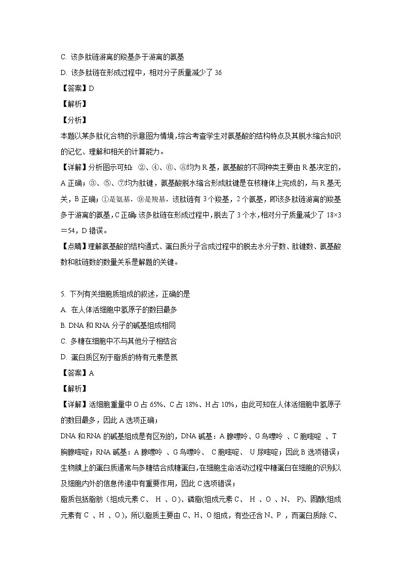 【生物】新疆实验中学2018-2019学年高二上学期期末考试试卷（解析版）第3页