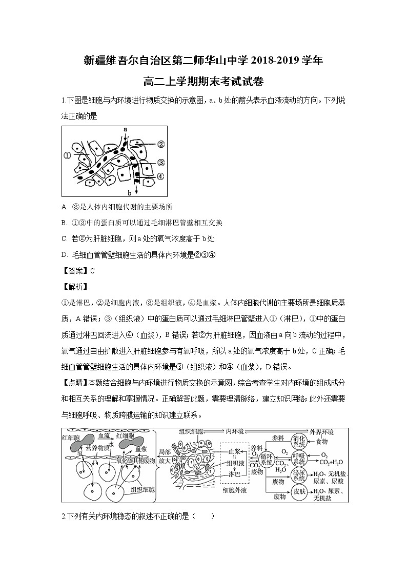 【生物】新疆维吾尔自治区第二师华山中学2018-2019学年高二上学期期末考试试卷 （解析版）第1页