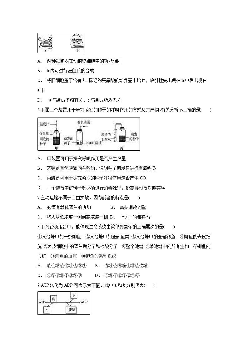 【生物】云南省普洱市景东一中2018-2019学年高二上学期期末考试试题02