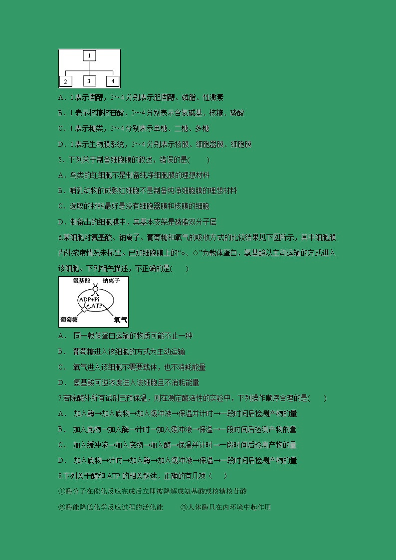 【生物】云南省玉溪一中2018-2019学年高二上学期期末考试试题02