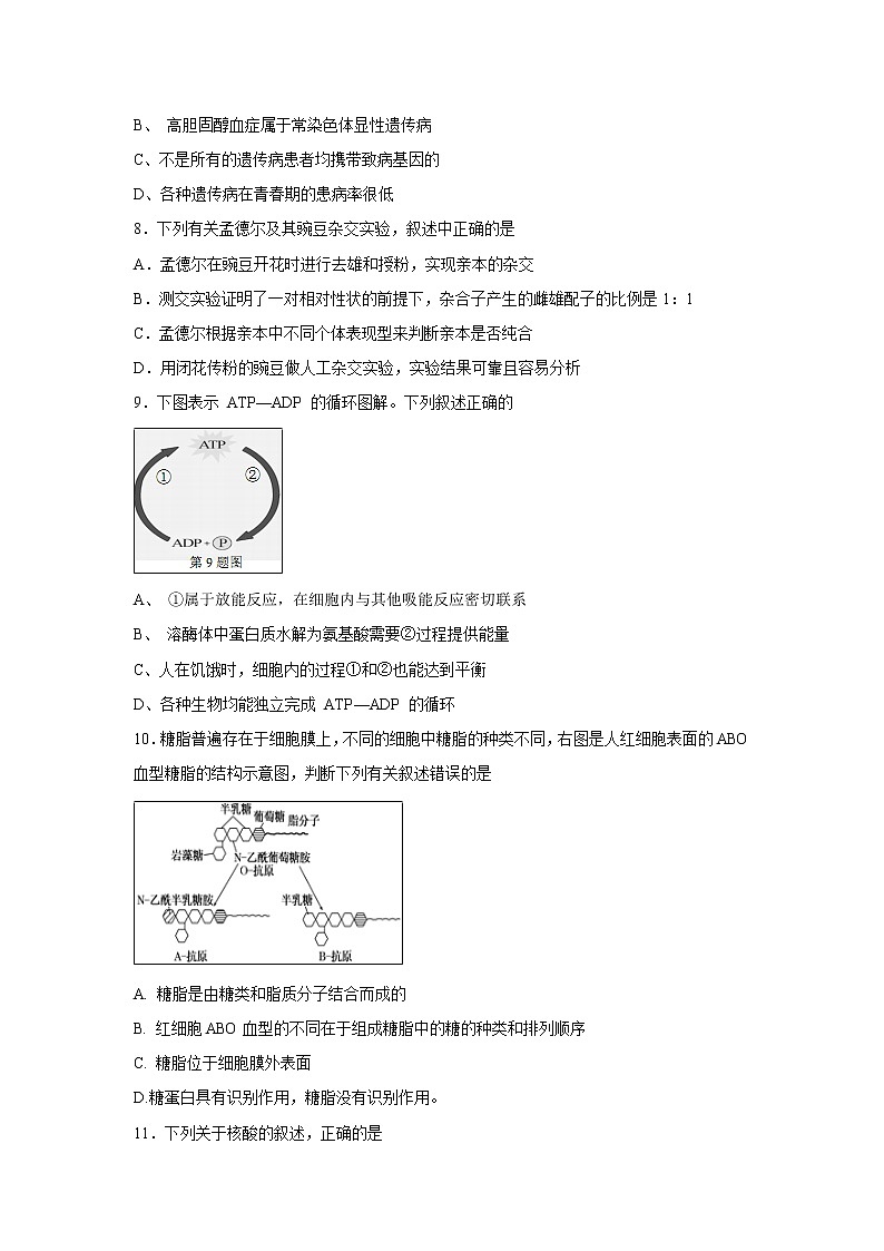 【生物】浙江省杭州市萧山区第八高级中学2018-2019学年高二上学期期末模拟试题02