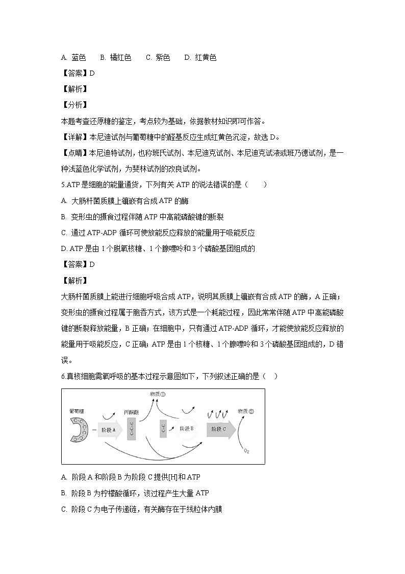 【生物】浙江省建德市新安江中学2018-2019学年高二上学期期末复习试题 （解析版）02
