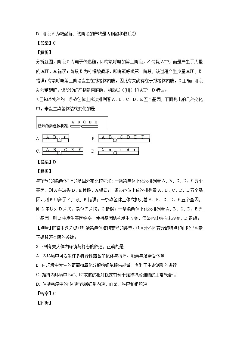 【生物】浙江省建德市新安江中学2018-2019学年高二上学期期末复习试题 （解析版）03