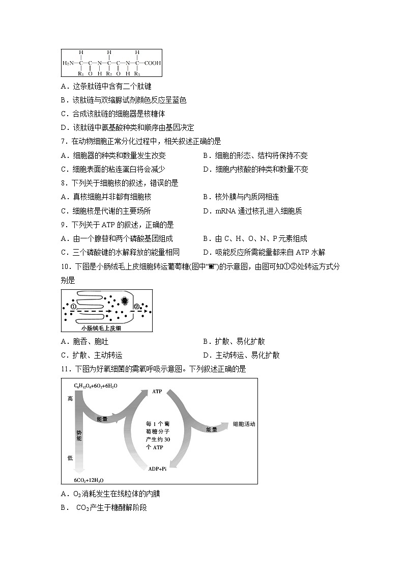 【生物】浙江省丽水市2018-2019学年高二上学期期末教学质量监控试题第2页