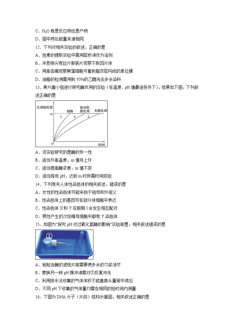 【生物】浙江省丽水市2018-2019学年高二上学期期末教学质量监控试题第3页