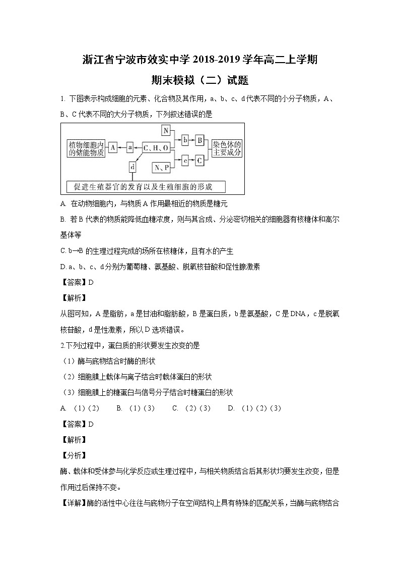 【生物】浙江省宁波市效实中学2018-2019学年高二上学期期末模拟（二）试题（解析版）01