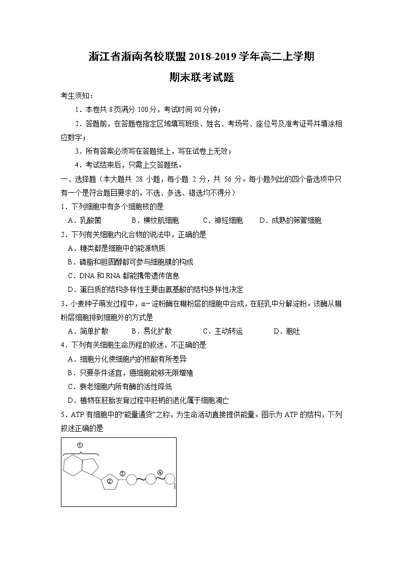 【生物】浙江省浙南名校联盟2018-2019学年高二上学期期末联考试题第1页