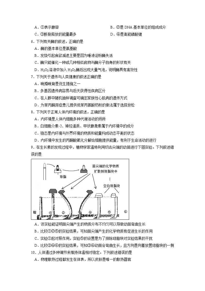 【生物】浙江省浙南名校联盟2018-2019学年高二上学期期末联考试题第2页