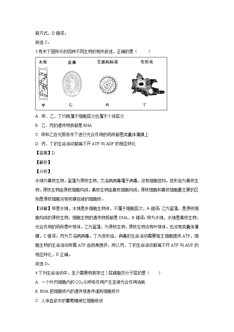 【生物】重庆市巴蜀中学校2018-2019学年高二上学期期末考试试题（解析版）第2页