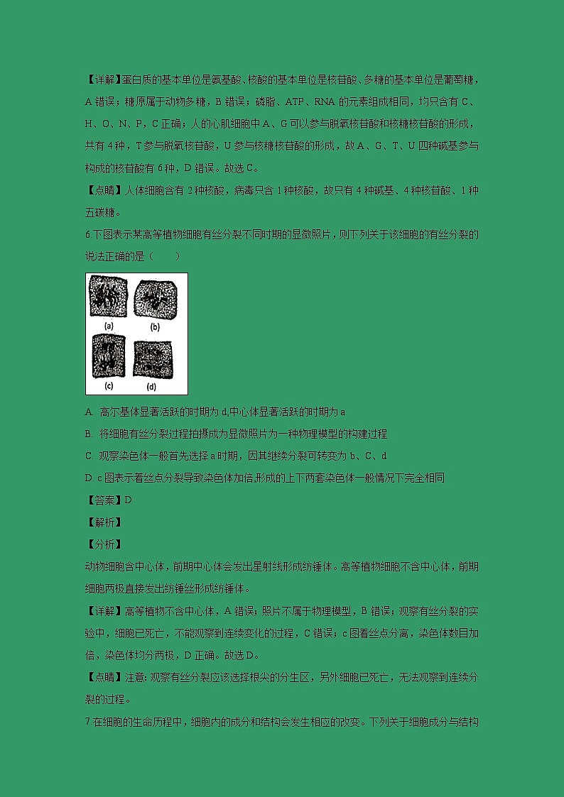【生物】重庆市第一中学校2018-2019学年高二上学期期末考试试题 （解析版）第3页