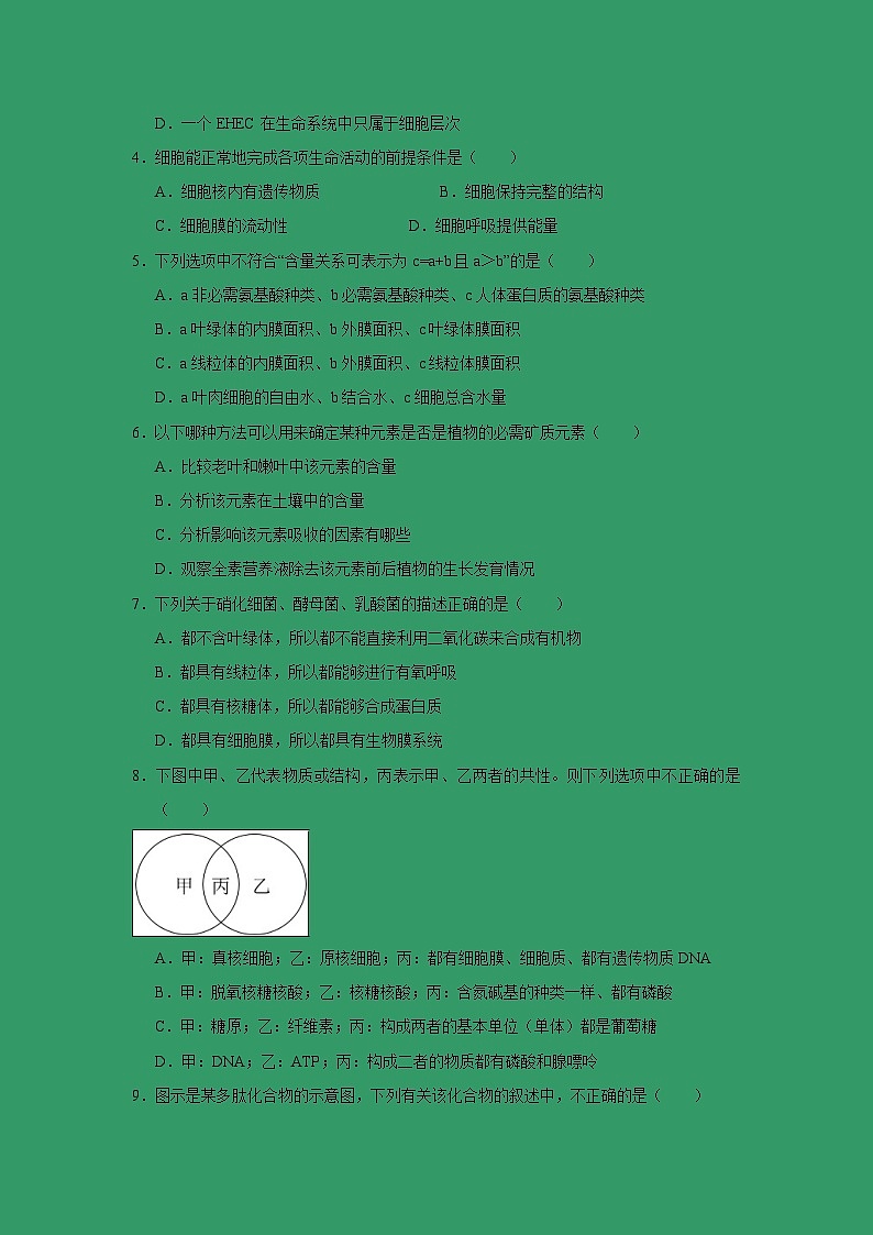 【生物】重庆市江津中学、合川中学等七校2018-2019学年高二上学期期末考试试题第2页