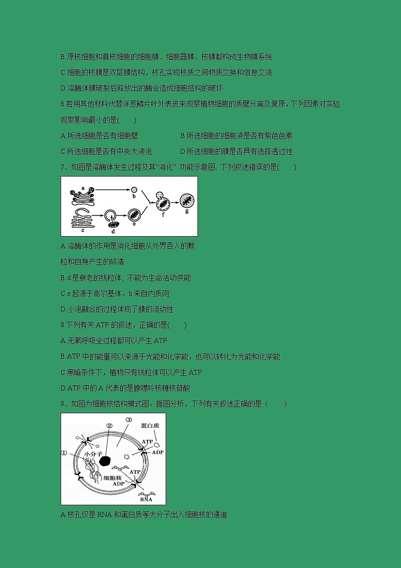 【生物】云南省玉溪市民族中学2018-2019学年高二上学期期末考试试卷02