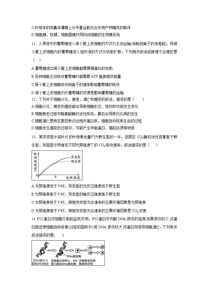 【生物】福建省永春第一中学2018-2019学年高二下学期期末考试试题03