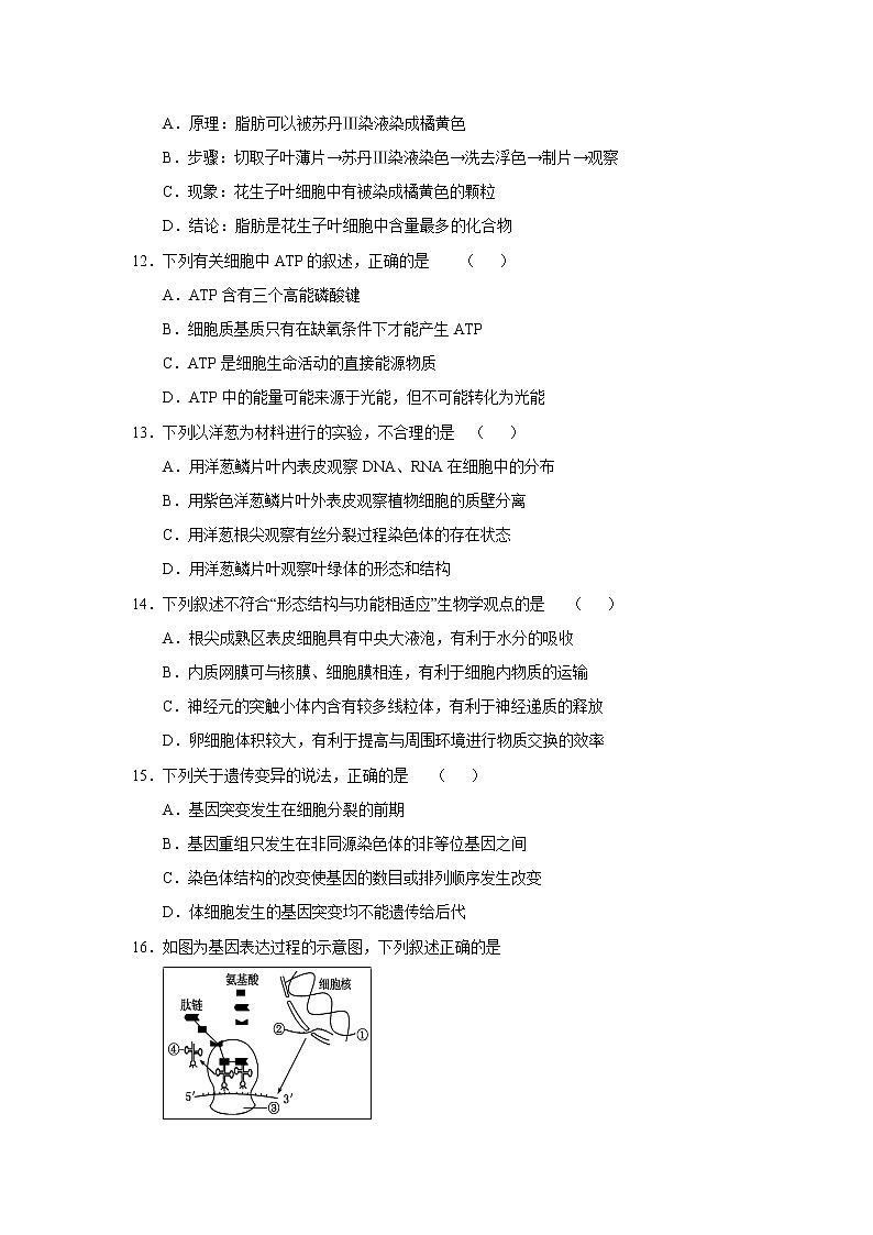 【生物】福建省漳州市第五中学等四校2018-2019学年高二下学期期末联考试题03