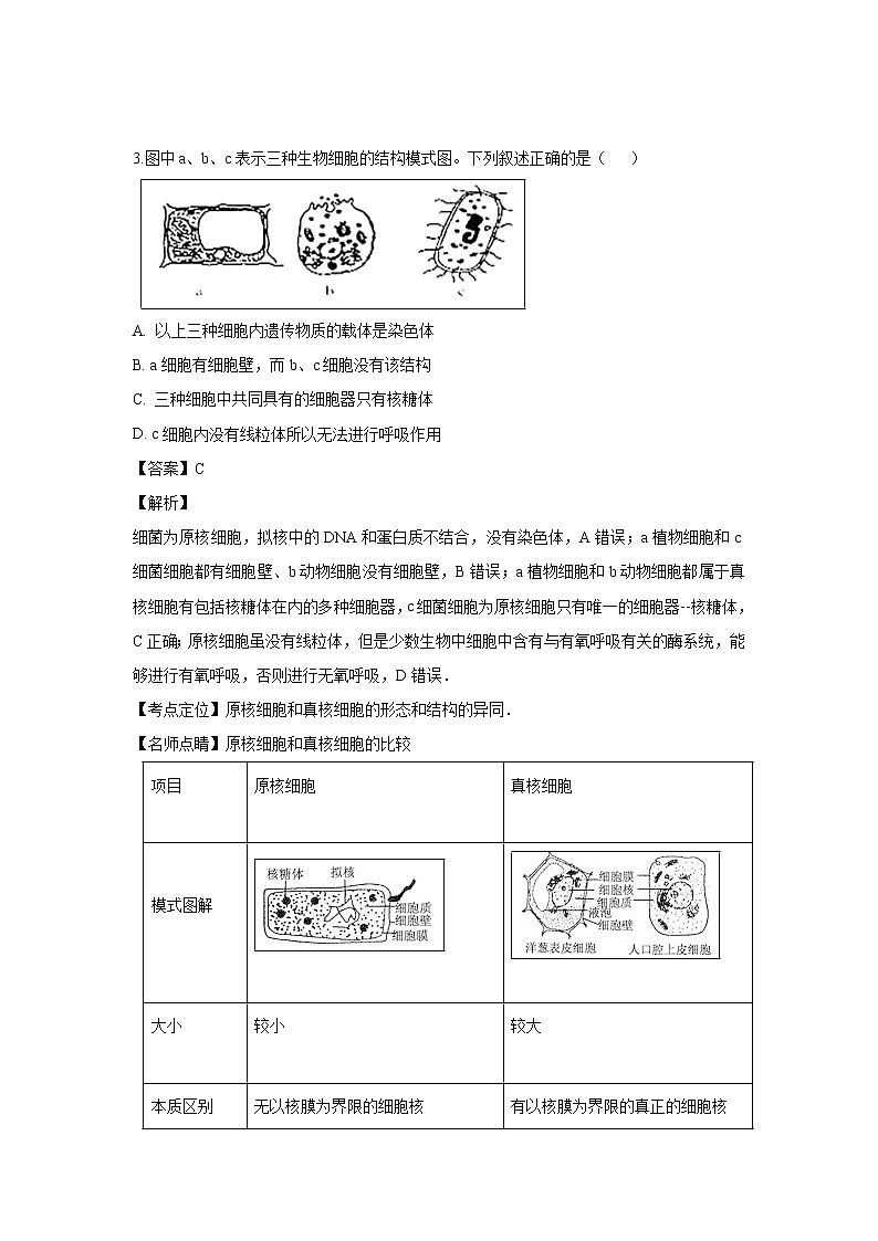 【生物】安徽省滁州市定远县育才学校2018-2019学年高二（实验班）下学期期末考试试题（解析版）02