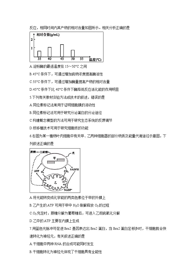【生物】安徽省滁州市九校联谊会（滁州二中、定远二中等11校）2018-2019学年高二下学期期末联考试题02