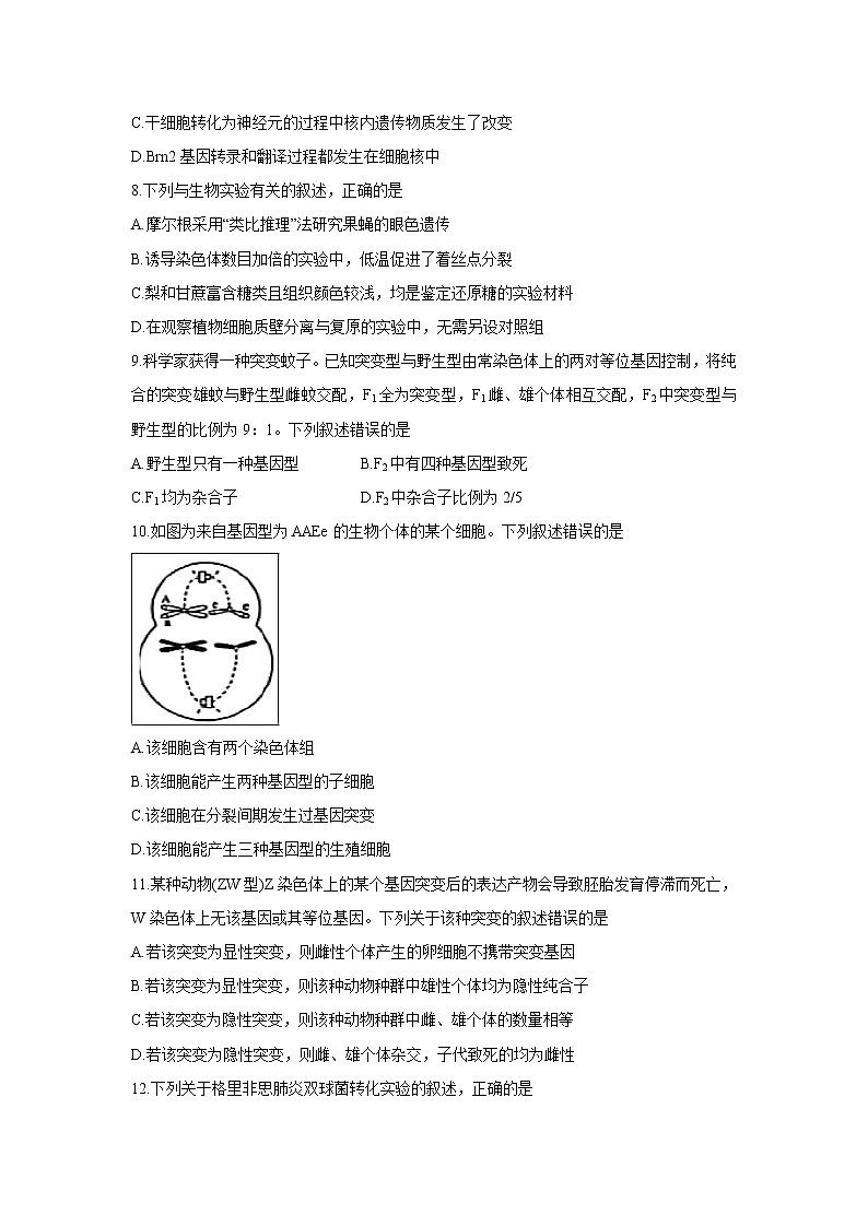 【生物】安徽省滁州市九校联谊会（滁州二中、定远二中等11校）2018-2019学年高二下学期期末联考试题03