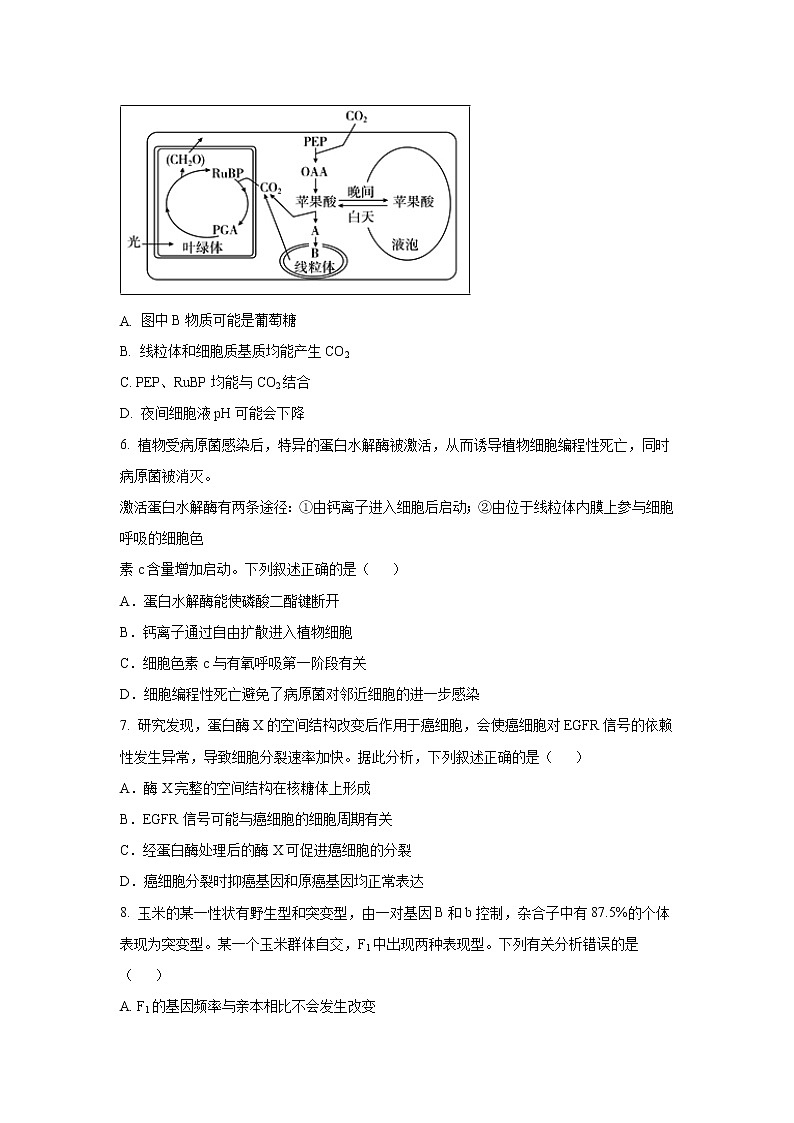 【生物】安徽省郎溪中学2018-2019学年高二下学期期末模拟考试试题02
