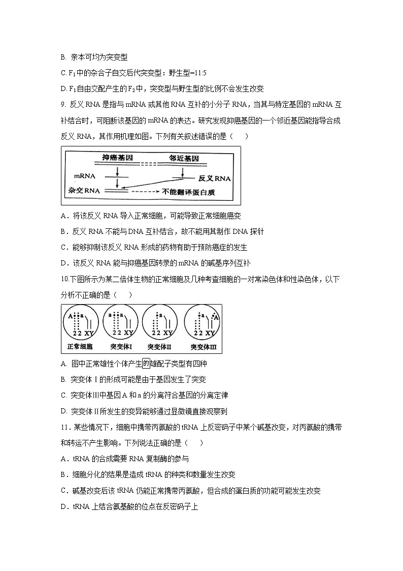 【生物】安徽省郎溪中学2018-2019学年高二下学期期末模拟考试试题03